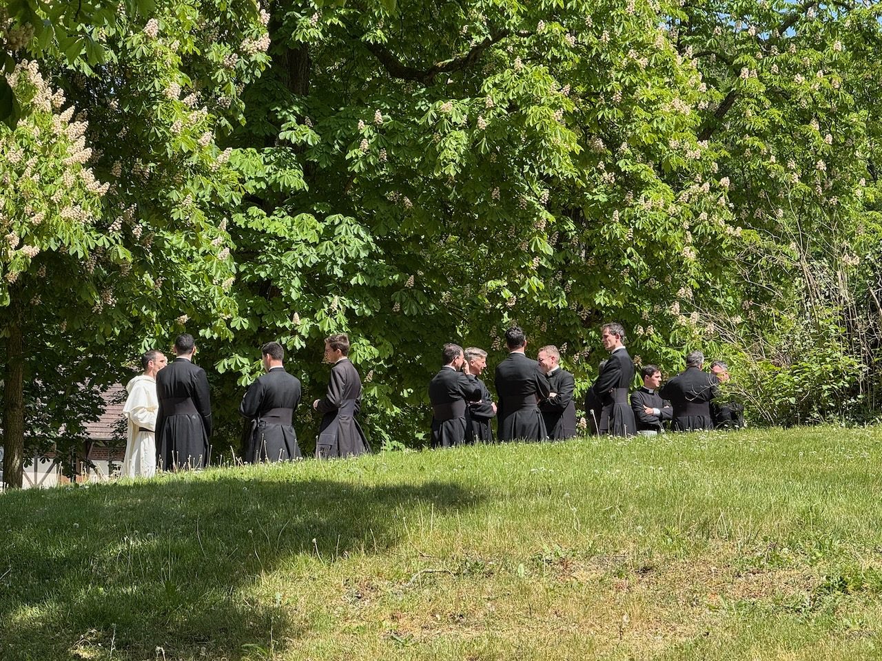 Des prêtres en conversation sous les marronniers en fleur